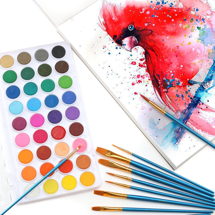 Studio Sensations Watercolor Paints (18 watercolor cakes & 1 brush) –  Franklin Square Pharmacy